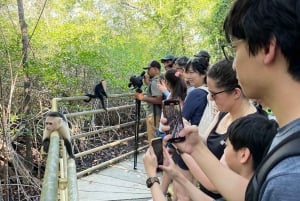 Manuel Antonio National Park: Animal watching hike