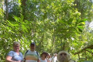 Manuel Antonio National Park: Animal watching hike