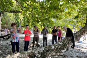 Manuel Antonio National Park: Animal watching hike