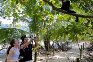 Manuel Antonio National Park: Animal watching hike