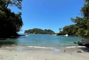 Manuel Antonio National Park: Animal watching hike