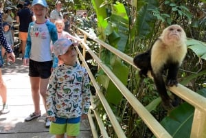 Manuel Antonio National Park: Animal watching hike