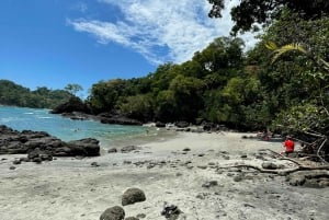 Manuel Antonio National Park: Animal watching hike