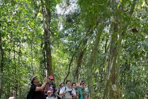 Manuel Antonio National Park: Animal watching hike