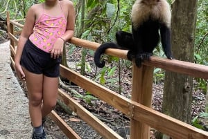 Manuel Antonio National Park: Animal watching hike