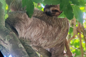 Manuel Antonio National Park tour Entrance ticket included.