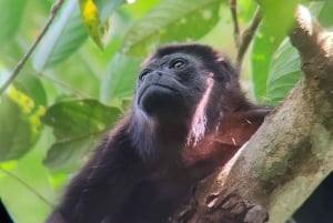 Manuel Antonio National Park tour.