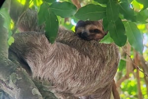 Manuel Antonio National Park tour.