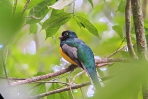 Manuel Antonio National Park tour.