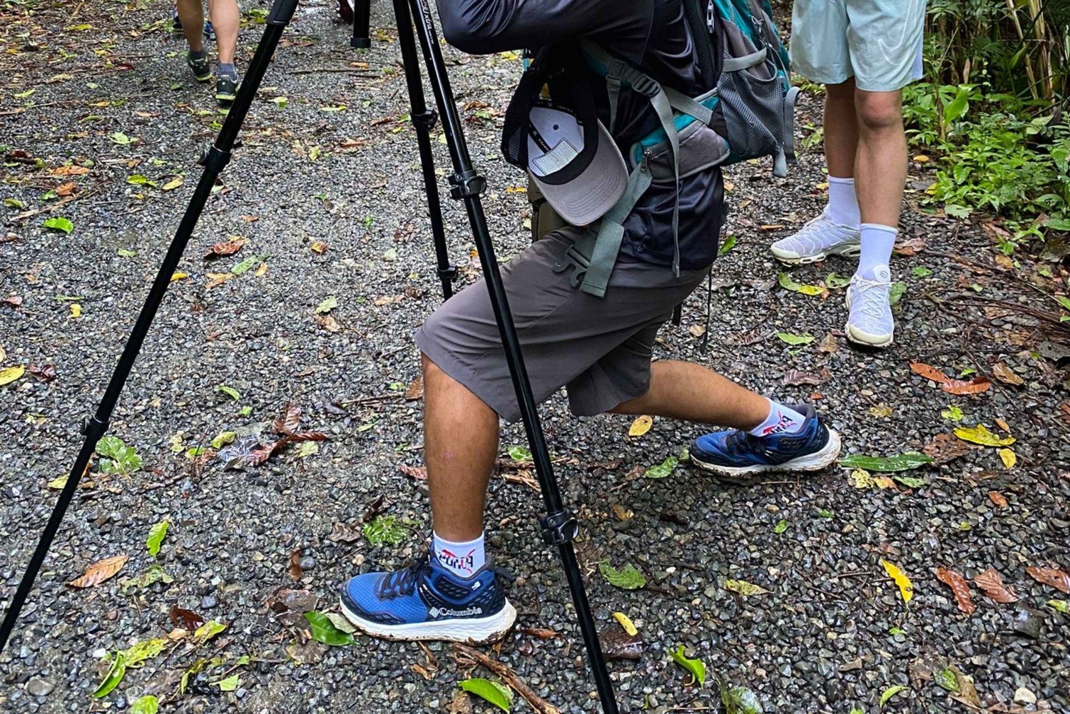 Parco nazionale Manuel Antonio: tour guidato a piedi