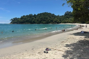 Parco nazionale Manuel Antonio: tour guidato a piedi