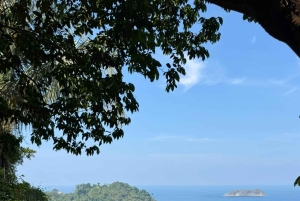 Parco nazionale Manuel Antonio: tour guidato a piedi