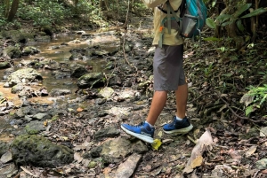 Parco nazionale Manuel Antonio: tour guidato a piedi