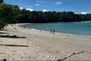 Parco nazionale Manuel Antonio: tour guidato a piedi