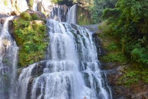 Manuel Antonio : Chutes d'eau de Nauyaca - journée complète en formule tout compris