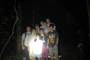 Manuel Antonio: Night Walking Tour with a Naturalist Guide