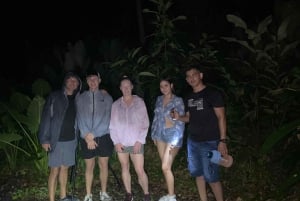 Manuel Antonio: Night Walking Tour with a Naturalist Guide