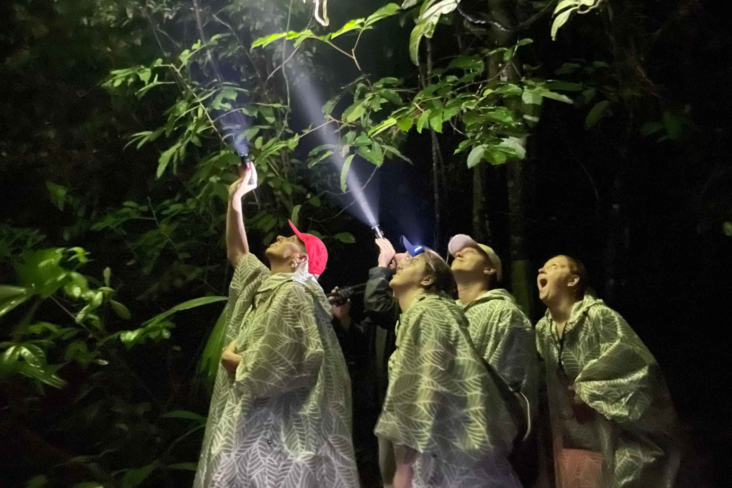 Manuel Antonio: Passeio pedestre noturno