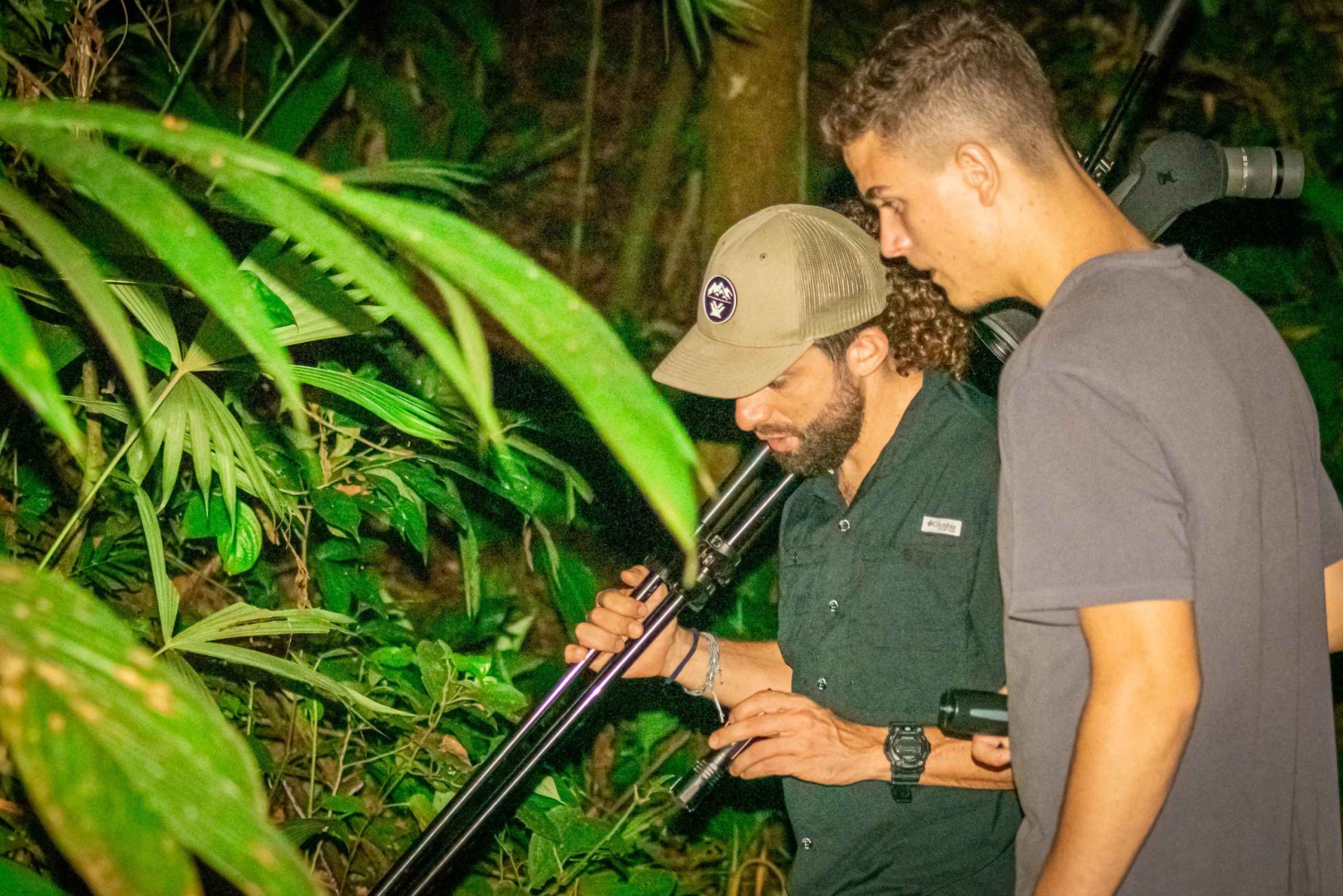 Manuel Antonio: Passeio pedestre noturno