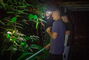 Manuel Antonio: Passeio pedestre noturno