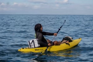 Manuel Antonio: Ocean Kayak to Biesanz Beach & Snorkling