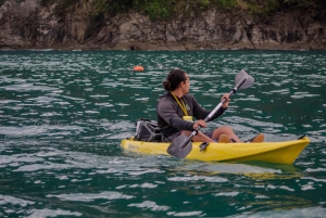 Manuel Antonio: Biesanz Beach & Snorkling: Ocean Kayak Biesanz Beach & snorklaus
