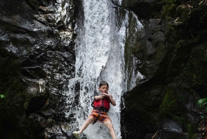 Manuel Antonio: Paddle Board & Full Day Waterfall Tour