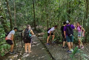 Manuel Antonio Park: Guided Tour to see animals & beach time