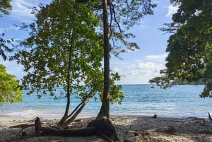 Manuel Antonio Park: Guided Tour to see animals & beach time