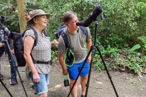 Manuel Antonio Park: Guided Tour to see animals & beach time