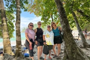 Manuel Antonio Nationalpark: Guidet tur og strandtid