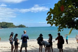 Manuel Antonio Park: Guidet spasertur med en naturforsker