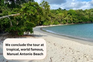 Manuel Antonio Park: Naturalist Guided Tour
