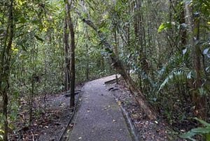 Manuel Antonio Park: Guidet vandretur med en naturforsker