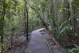 Manuel Antonio Park: Guidet spasertur med en naturforsker