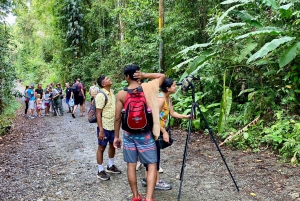 Manuel Antonio Park: Guidet spasertur med en naturforsker