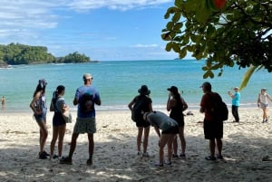 Manuel Antonio Park: Guidet vandretur med en naturforsker