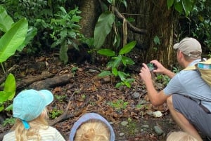 Park Manuel Antonio: Wycieczka z przewodnikiem piesza z przyrodnikiem