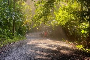 Manuel Antonio Park: Guidet vandretur med en naturforsker