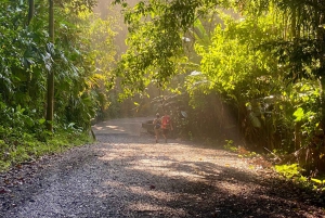 Manuel Antonio Park: Guidet spasertur med en naturforsker