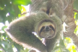 Quepos: Manuel Antonio National Park Guided Tour