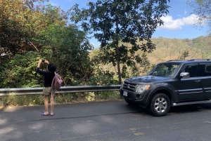 Manuel Antonio or Quepos: Transfer to Monteverde
