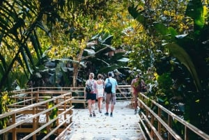 Manuel Antonio, Puntarenas, Costa Rica: Horseback Riding