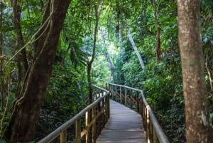 Manuel Antonio, Puntarenas, Costa Rica: Horseback Riding