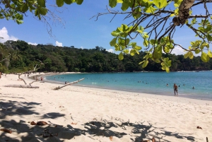 Manuel Antonio, Puntarenas, Costa Rica: Horseback Riding