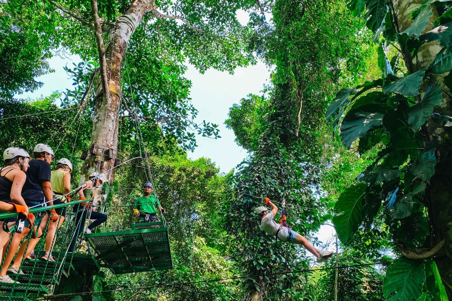 マヌエル アントニオ ケポス ジップライン ツアー（ランチ付き）