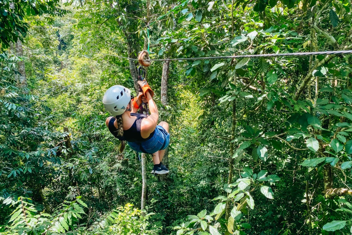 マヌエル アントニオ ケポス ジップライン ツアー（ランチ付き）