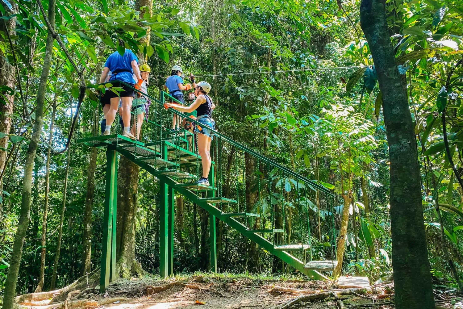 マヌエル アントニオ ケポス ジップライン ツアー（ランチ付き）