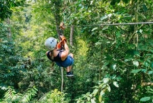 マヌエル アントニオ ケポス ジップライン ツアー（ランチ付き）