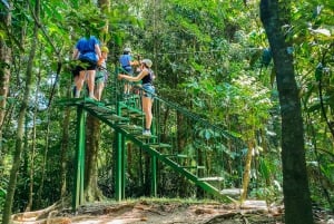 マヌエル アントニオ ケポス ジップライン ツアー（ランチ付き）